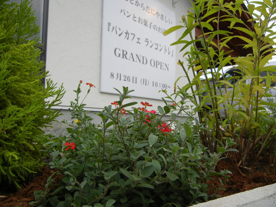 太田市わにわ
お庭のデザイン設計
桐生市のケーキ屋さんの植栽工事