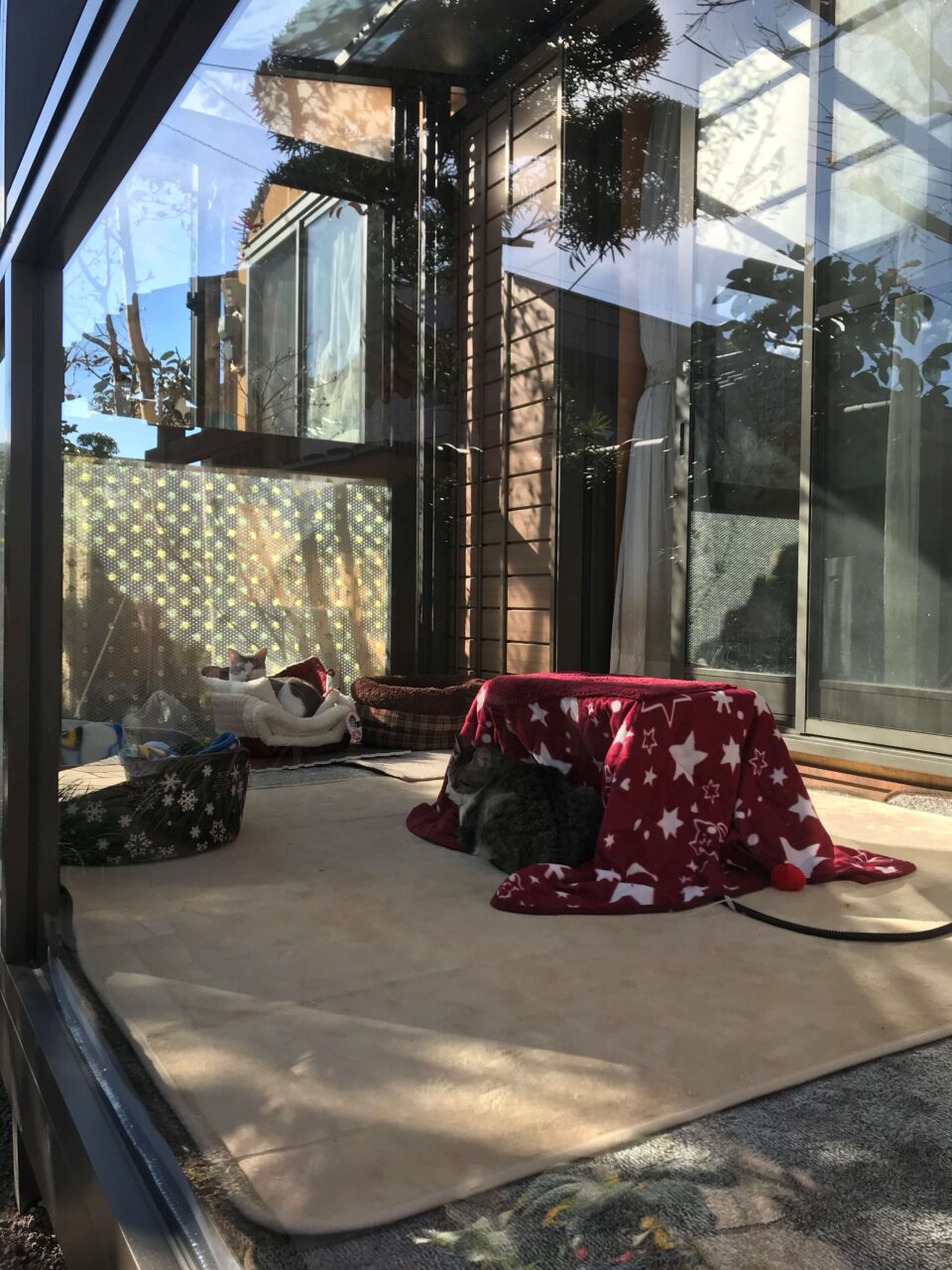 お庭のデザイン設計
太田市わにわ
安中市の猫ハウス施工