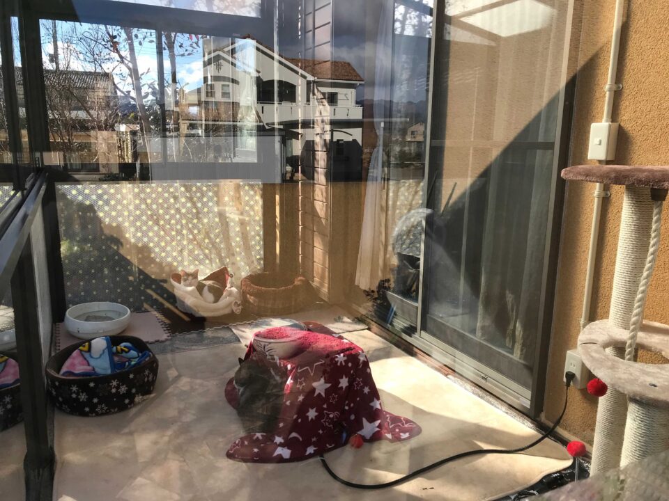 お庭のデザイン設計
太田市わにわ
安中市の猫ハウス施工