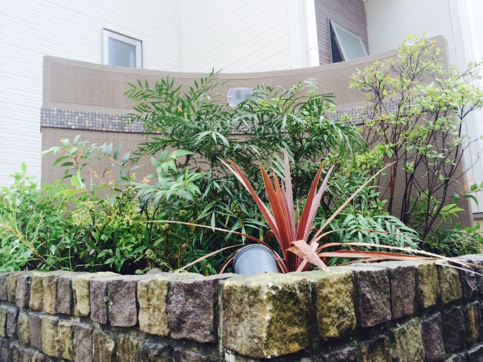 太田市わにわ｜玄関前の植栽プラン