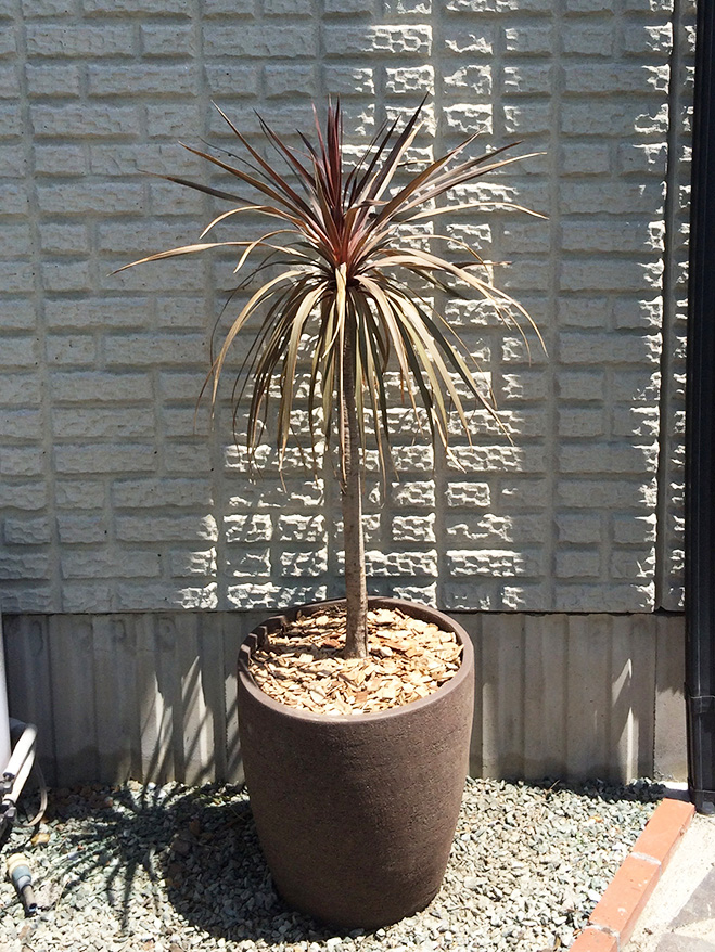 太田市わにわ
庭のデザイン設計
太田市の庭のリフォーム工事