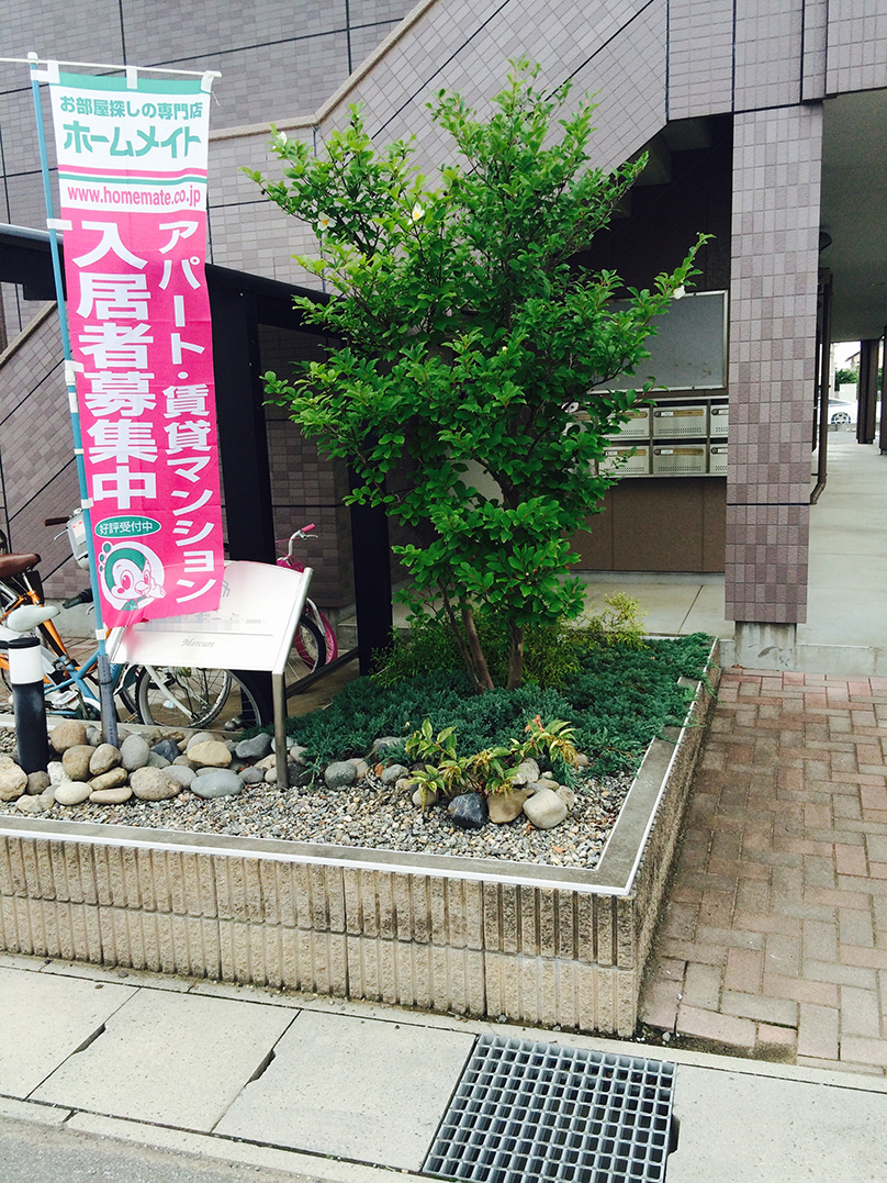 太田市わにわ
お庭のデザイン設計
アパートの植栽工事