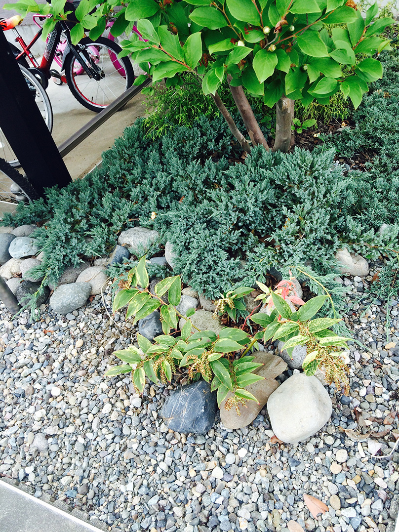 太田市わにわ
お庭のデザイン設計
アパートの植栽工事