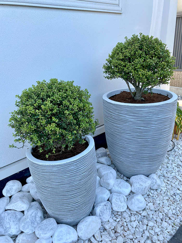 太田市外構と庭工事のわにわ
伊勢崎市の店舗改修工事