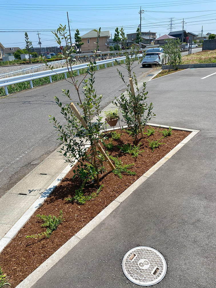 太田市外構と庭工事のわにわ
伊勢崎市の店舗改修工事