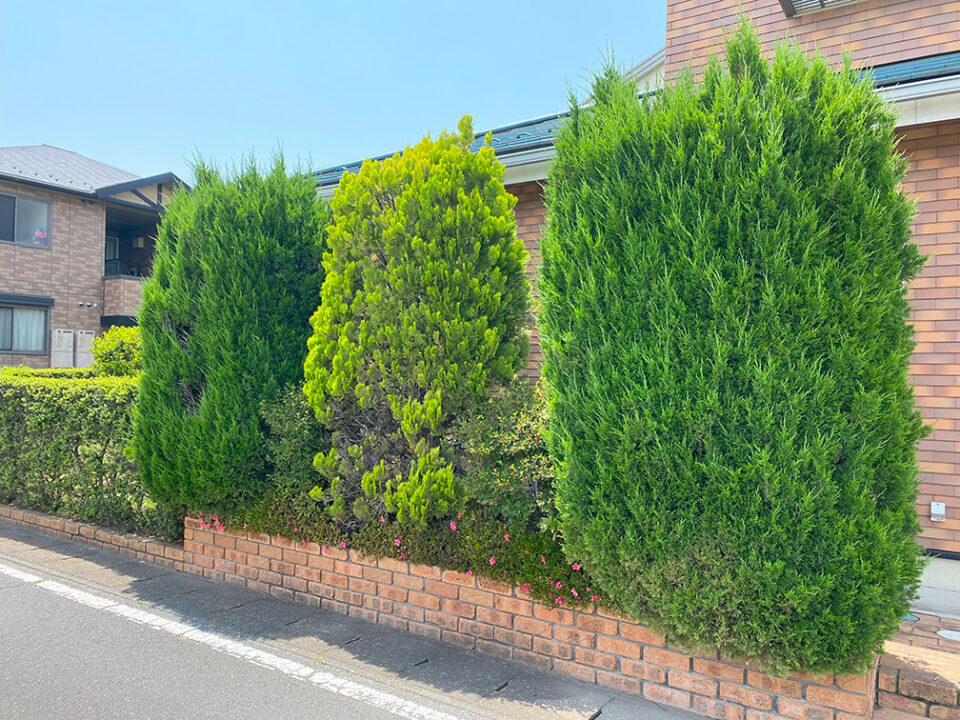 お庭のデザイン設計
高崎市花壇のリフォーム植栽工事